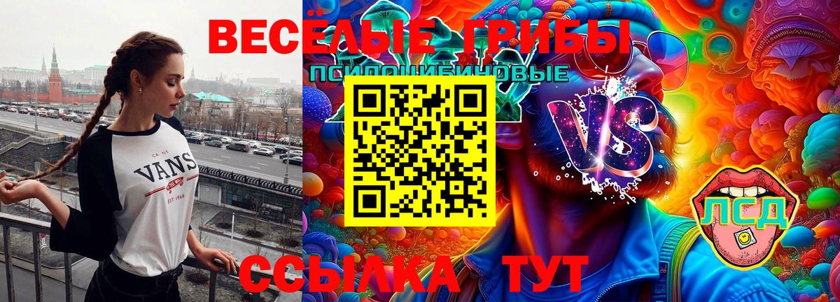 Псилоцибиновые грибы Magic Shrooms  Вход с VPN  Елизово 